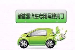 東營(yíng)新能源號(hào)牌26日正式啟動(dòng)，專(zhuān)用汽車(chē)可選號(hào)段公布